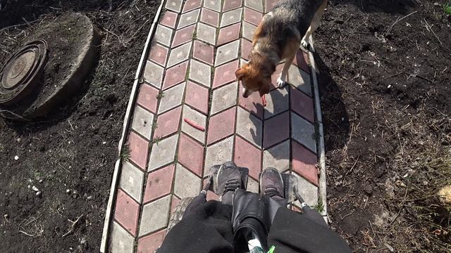 Вкусняшки от подписчиков) смотреть онлайн