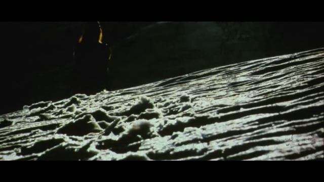 Дельфин Снеговик 1080HD VKlipe com смотреть онлайн
