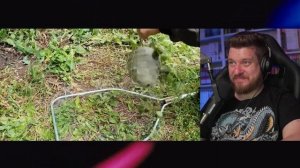 ЕДА ДЛЯ ВЫЖИВАНИЯ В ПРИРОДНЫХ УСЛОВИЯХ - ДИКИЕ ОСЫ | Реакция на ВЫЖИВАЛОВО