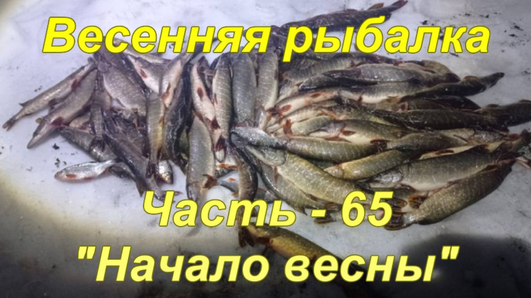 Весенняя рыбалка. Часть - 65. "Начало весны". смотреть онлайн