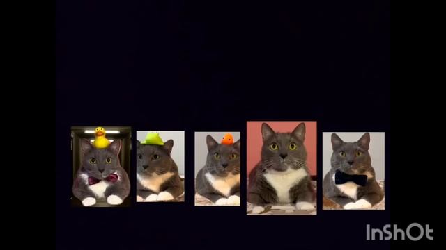 как зломали мою обложку часть 1