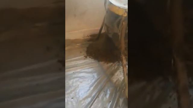 Полусухая стяжка пола. Эксперт Пол. Квартира 94 м2 смотреть онлайн