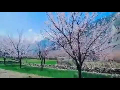 Beautiful Gilgit-Baltistan Song Ik Malang
