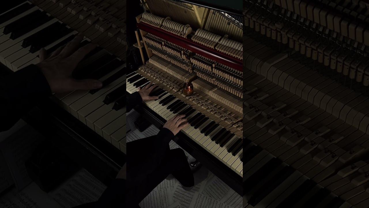 Kara Sevda #piano #calm #aesthetic смотреть онлайн
