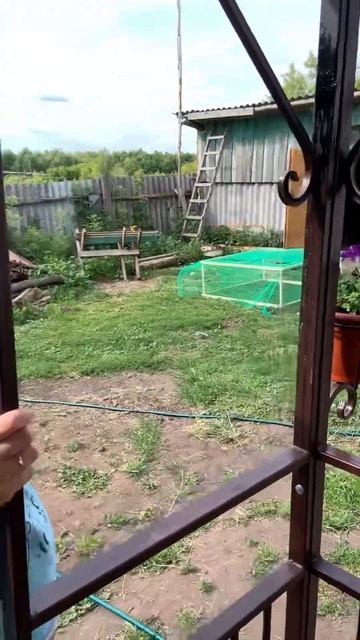 Хорошо в деревне летом, хорошо в деревне жить! смотреть онлайн