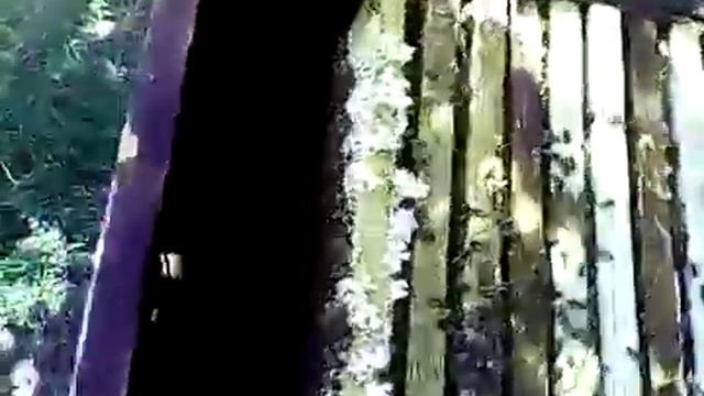 Третьи сутки после подставки личинок смотреть онлайн