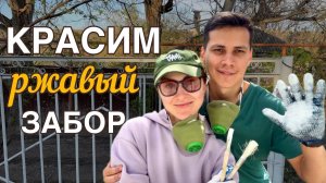 КУПИЛИ ДОМ В СТАВРОПОЛЬСКОМ КРАЕ #33. Наша первая грядка. Обновляем старый забор. Вода на участок