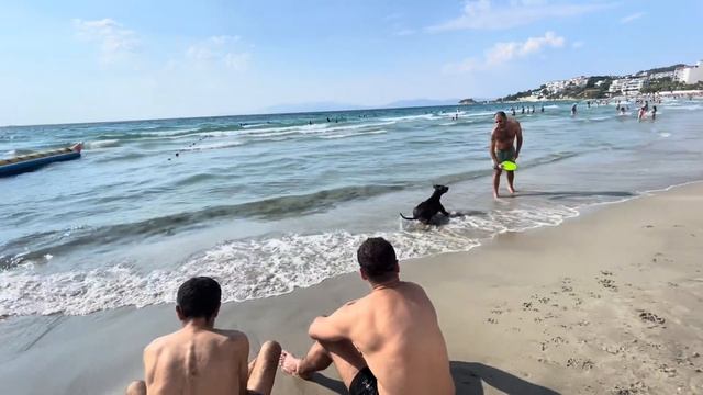 Мой Новый Турецкий Роман смотреть онлайн