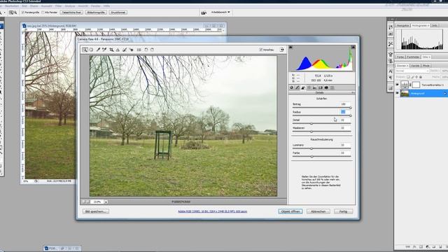 .raw und .jpg in Photoshop - Tutorial смотреть онлайн