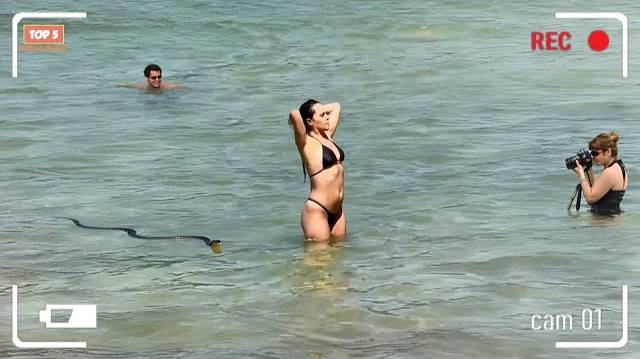 ПОЛНЫЕ ИДИОТЫ НА РАБОТЕ Неудачи недели Подборка мгновенных сожалений 2025 смотреть онлайн