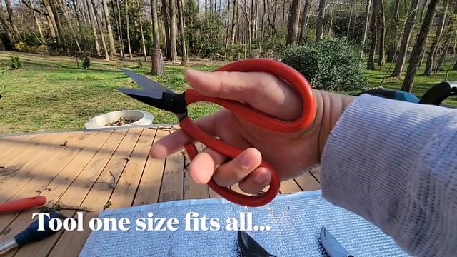ARS VS-8/VS-8Z/HP-VS8Z Signature Heavy Duty Pruner (and Fiskars as well) review by homeowner смотреть онлайн