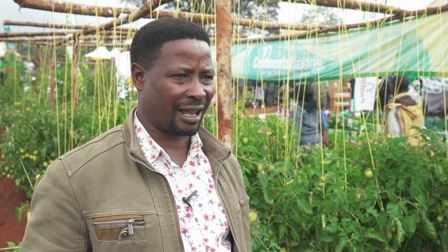 Continental Seeds at Wambugu ATC Exhibition 2023 смотреть онлайн