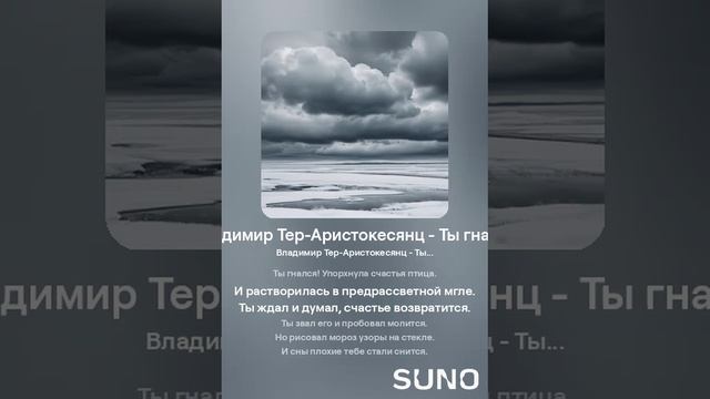 Владимир Тер-Аристокесянц - Ты гнался (вар 2)