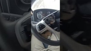 Наконец найдено быстрое решение проблемы - криво стоит руль на Синотрак Ситрак, Хово.