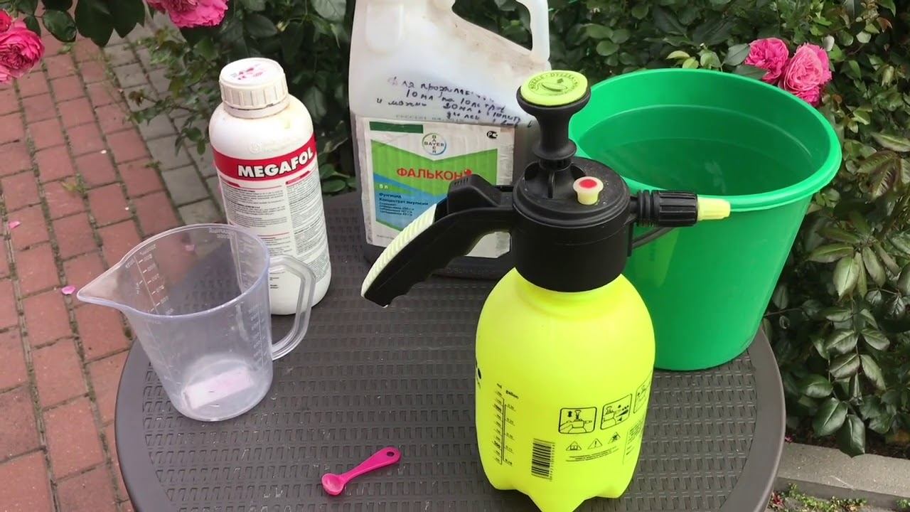 Розы. Фалькон- мифы о его применении и японские препараты. смотреть онлайн