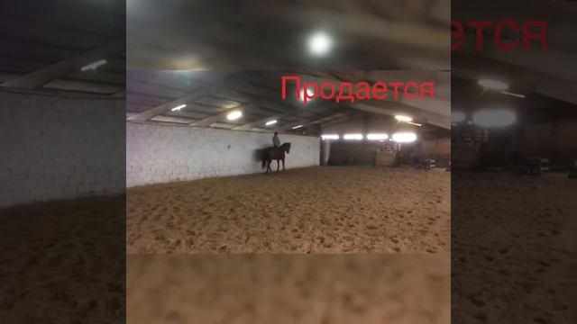 Босфорт ПРОДАЁТСЯ! смотреть онлайн