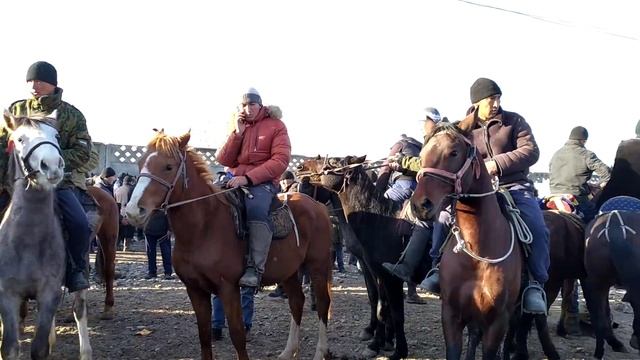 ЧАБАР АТТЫ чаап ал! Арасынан ТААП ал! 🐴 1995-серия смотреть онлайн