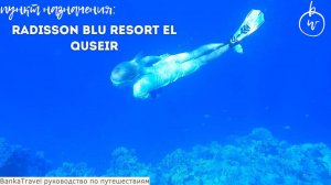 Radisson Blu Resort, El Quseir 5* Египет Обзор отеля. Banka Travel