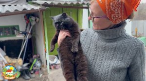 ЖИЗНЬ НА ГЛУХОМ ХУТОРЕ. Весна в январе. Готовим харчо по-мегрельски.