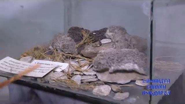 30 Dashbalbar sum x264 смотреть онлайн