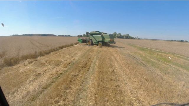 Уборка озимой Пшеницы / Ziemas Kviešu kulšana / Wheat Harvest 2022 смотреть онлайн