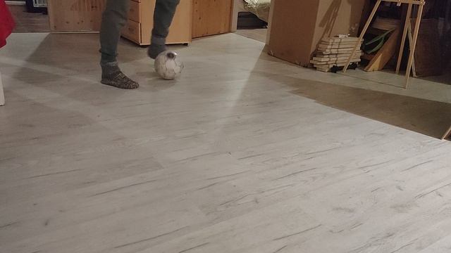 01.01.25 3ий год разминки с мячом