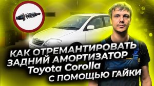 Ремонт и разборка заднего амортизатора/задней стойки Тойота Королла с помощью гайки через низ.