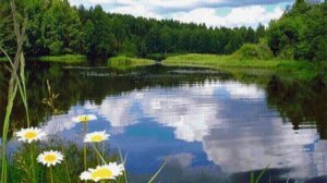 Песня " Гляжу в озера синие ". Кавер