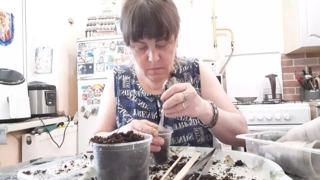 Позор мне , Загубила Рассаду , огородник из меня неудачный смотреть онлайн