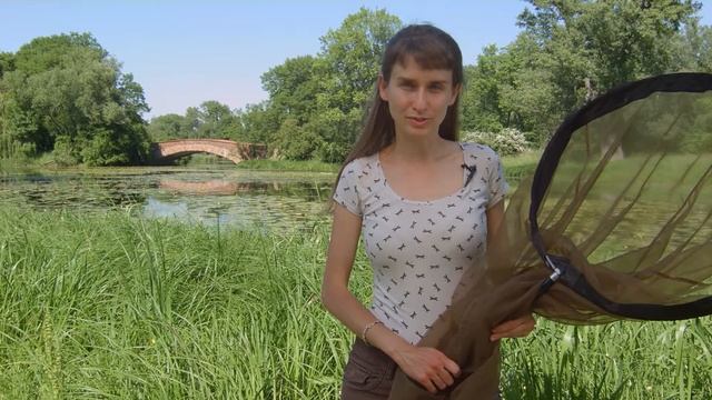 Ważki mieszkające w wilanowskim parku смотреть онлайн