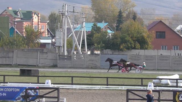 28.09.2019г. 1600м. рыс. 3-х лет. смотреть онлайн