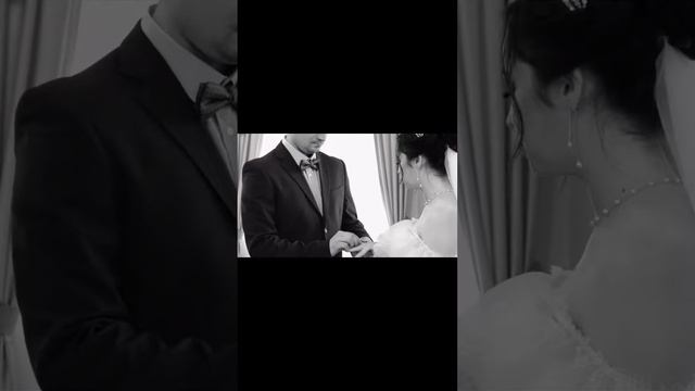 Свадьба Никиты и Екатерины 08.09.23. Ведущий на свадьбу Алексей Зайкин. смотреть онлайн