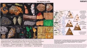 Научные итоги 2024 года Палеонтология - Андрей Журавлев