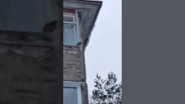 Для настроения.,)))))) смотреть онлайн