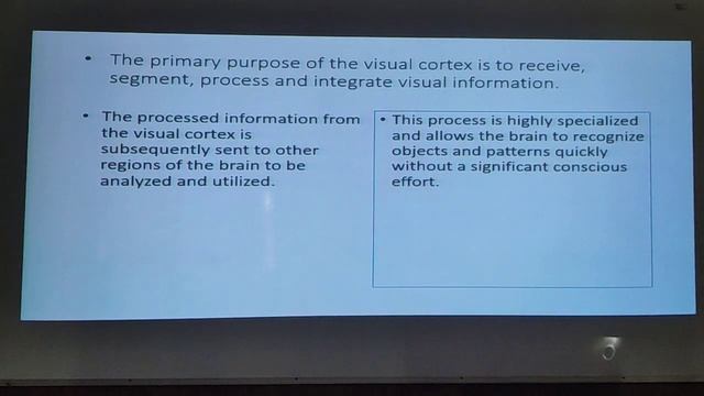 Anatomy Module - Anatomy of the Visual Cortex - Prof. Amr El Bakry смотреть онлайн