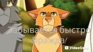 {-Коты-Воители-}🐱🌄 |гимн|🎵
