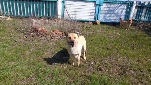 Работы хватает,когда приезжаю домой смотреть онлайн