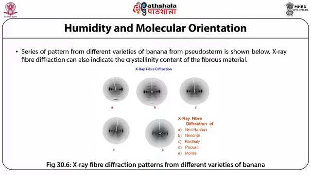 M-30. X-ray scattering of helix, analysis of structure of fibrous proteins, effect.. смотреть онлайн