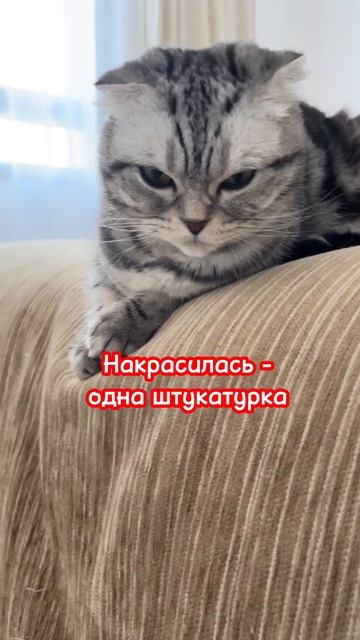 Вы идеальны смотреть онлайн