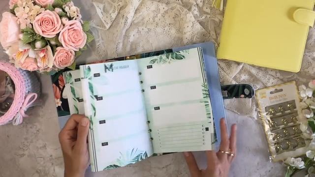 Планеры на кольцевом механизме. Обзор моих работ. смотреть онлайн