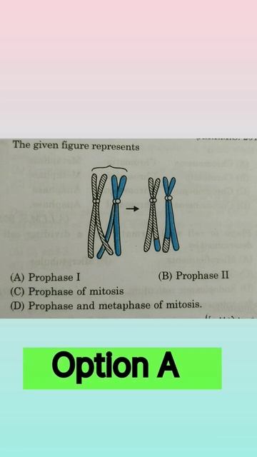 NEET PYQ (Cell cycle and cell division) #neet #motivation #neet2024 #ncert #bio #pyq #shortvideo смотреть онлайн