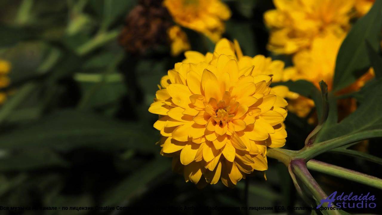 ❤ ♥ ❤ Песня, которую поймут в будущем - En Altitude -- LEsprit DSfign -- En Altitude.mp4