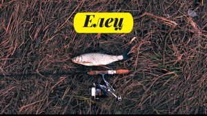 #рыбалка #микроджиг | Проверили две речки | Окунь, щука, елец |