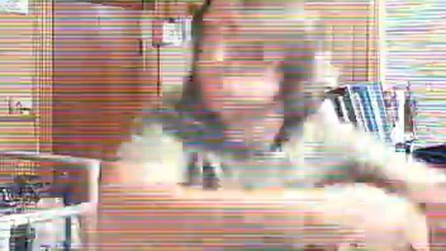 Nopants TV- El Mudo's Chacarron Macarron смотреть онлайн