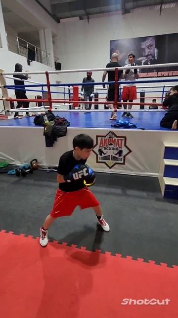 Зелимхан💪Чечня Грозный Шали Бокс 👊👊 смотреть онлайн