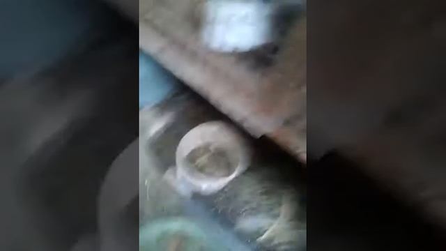 Кормления кроликов смотреть онлайн