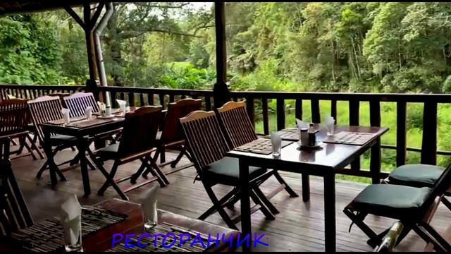 МАДАГАСКАР, 2024. Видео обзор отеля Феона (Feon' ny Ala) Андасибе. 5 СЕРИЯ смотреть онлайн