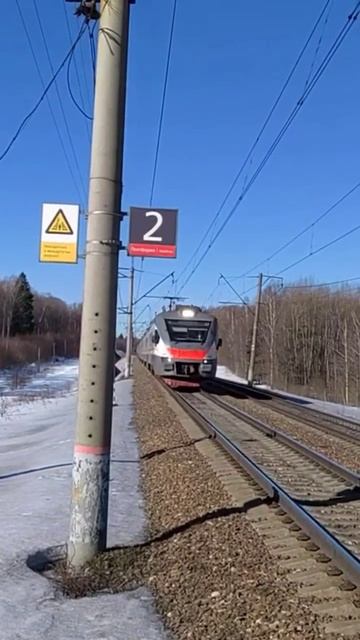 Свисток и тифон электропоезда ЭП2Д #shorts #shortvideo #ржд #синара #транспорт #вл10 #россия #вл11 смотреть онлайн