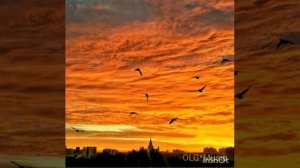 Лёша Лэ - Погнали солнце вдаль провожать (OLG*Music)