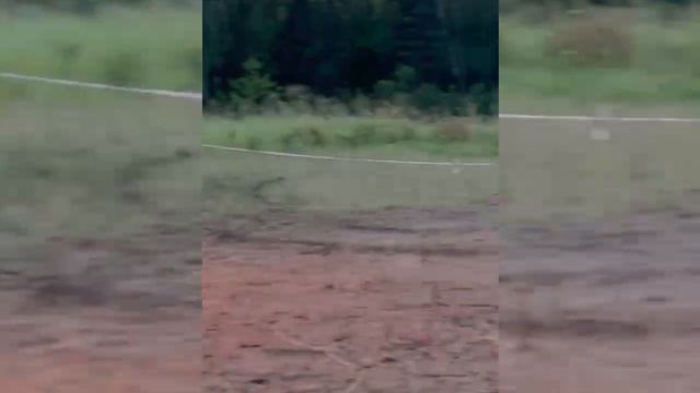 Детский спортивный лагерь " Орленок"